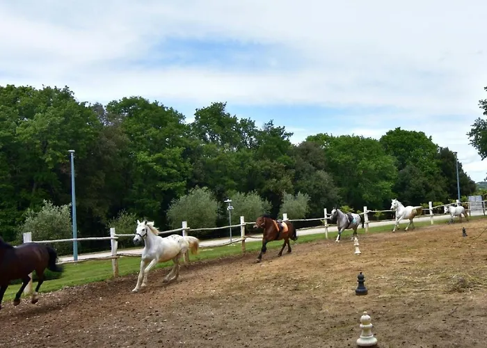 Noemi3 By Interhome Appartamento *