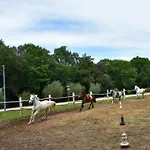 Noemi3 By Interhome Apartament *