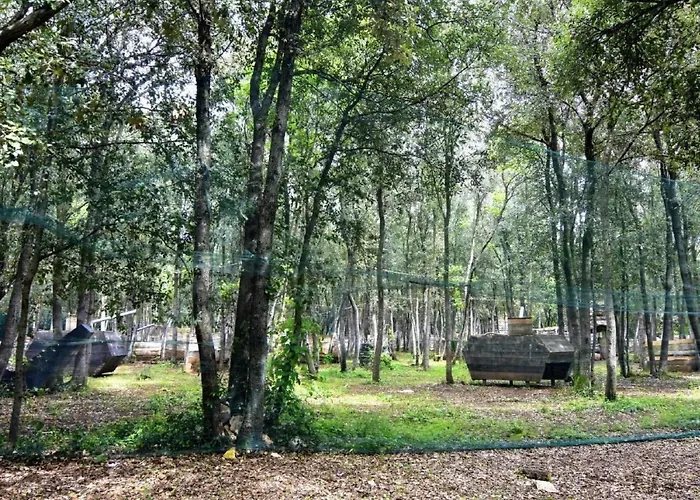 Noemi3 By Interhome * Poreč